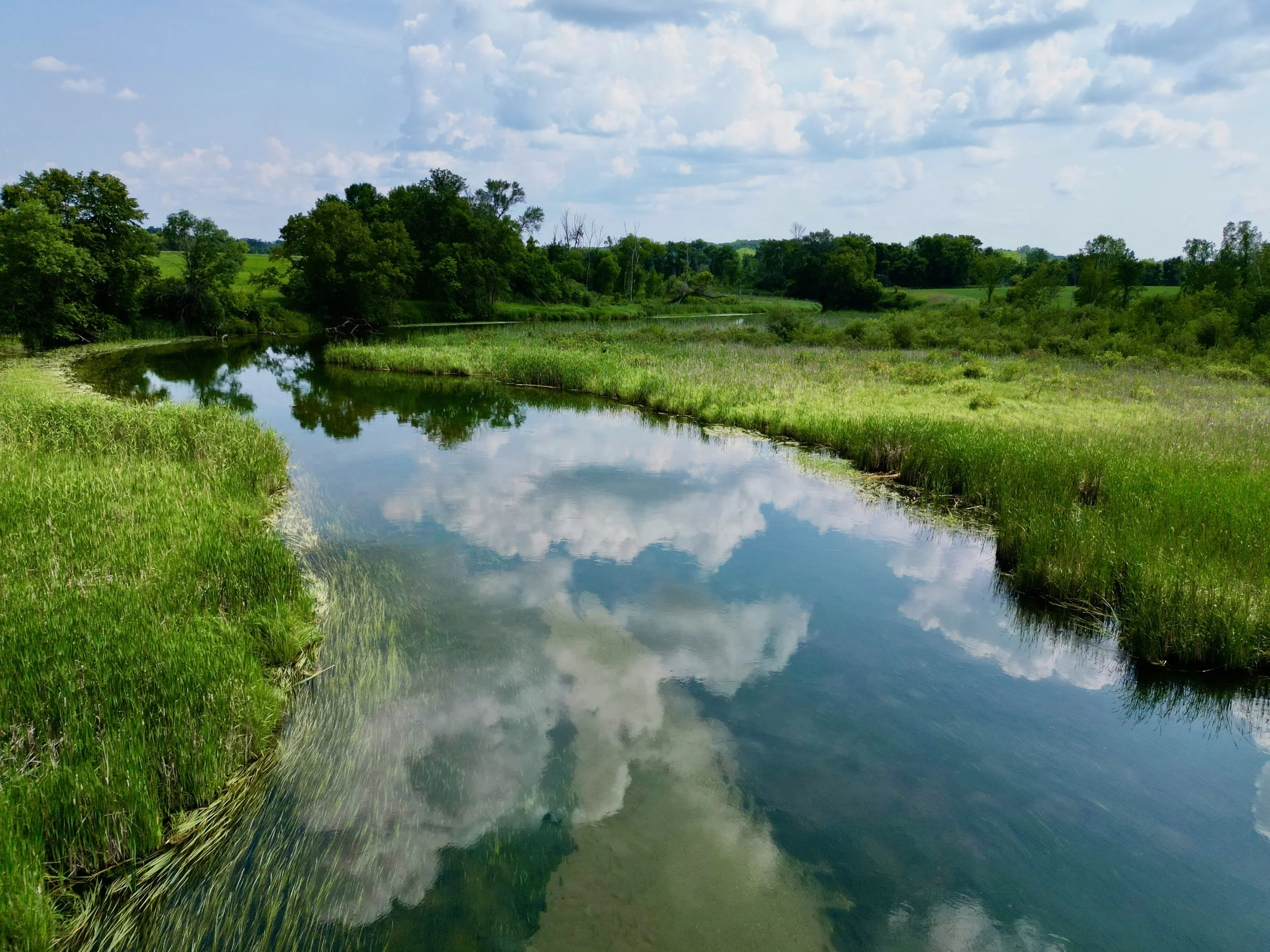 The River at Dunvilla — photo 1