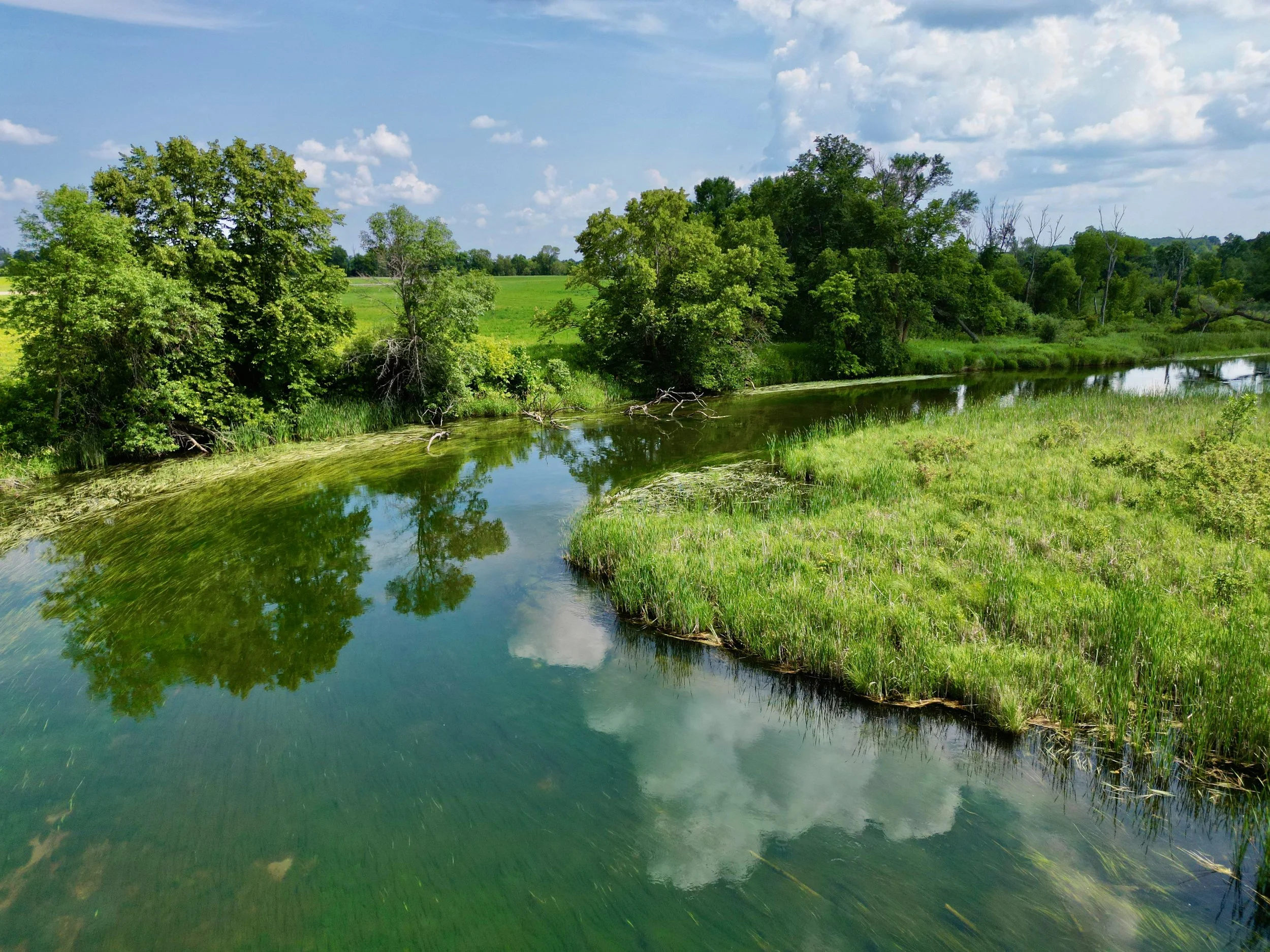 The River at Dunvilla — photo 2